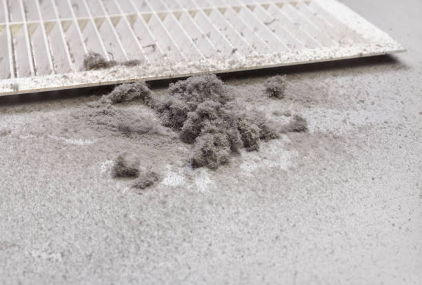 HVAC System Cleaning in FL